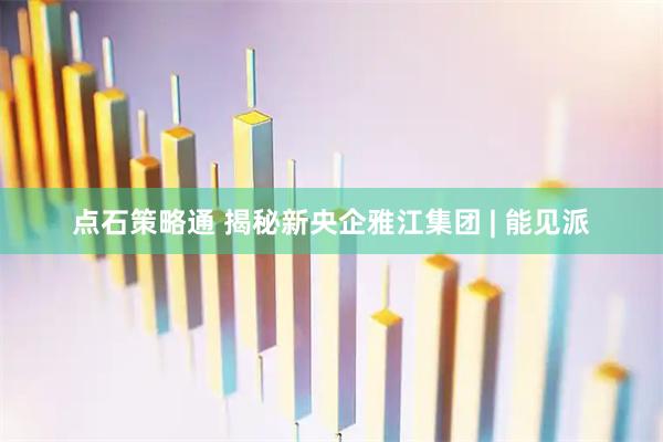 点石策略通 揭秘新央企雅江集团 | 能见派