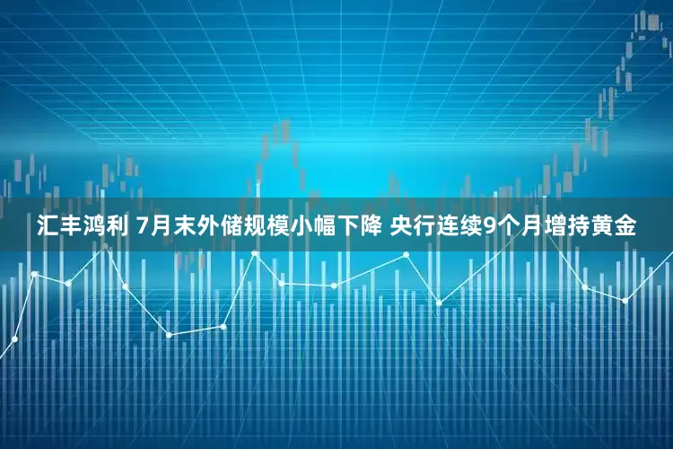汇丰鸿利 7月末外储规模小幅下降 央行连续9个月增持黄金